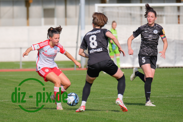 FCBFF2-SG99A-20231001-1XH20211