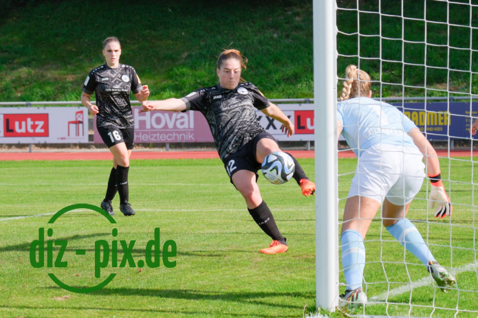 FCBFF2-SG99A-20231001-1XH20233