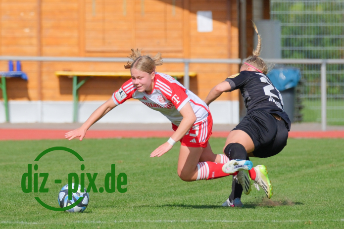 FCBFF2-SG99A-20231001-1XH20437