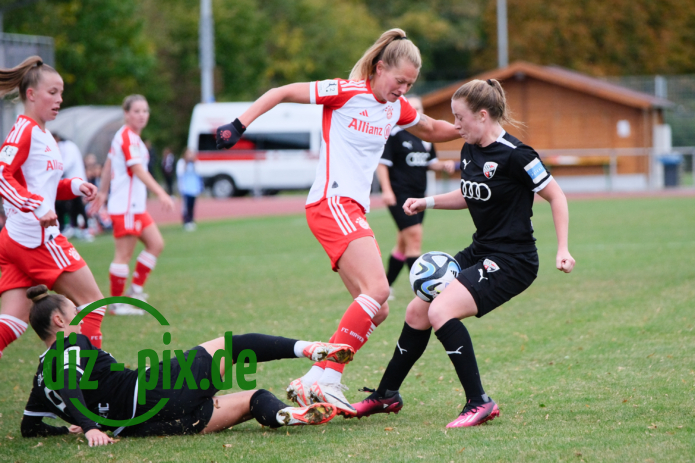FCBFF2-FCI04-20231015-2XH20010