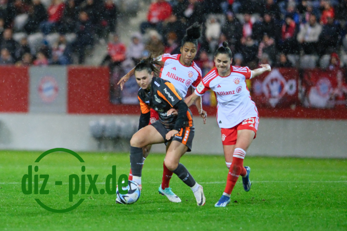 FCBFF-MSVD-20231112-1XH20368