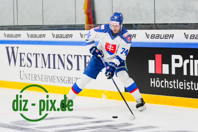 GER-SVK-20240418-1XH20986