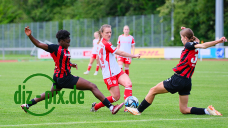 FCBFF2-SGE2-20240526-1XH20800