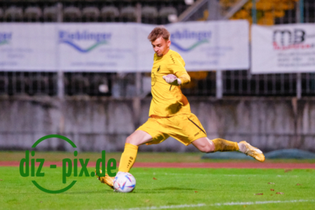 TSVS-FVI-20240927-1XH20707