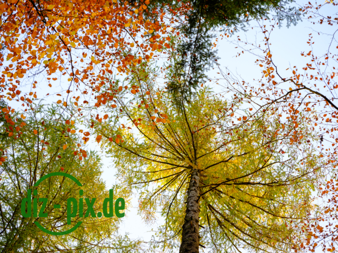 Naturfriedhof-MW-20241106-GFX10276