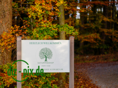 Naturfriedhof-MW-20241106-GFX10311