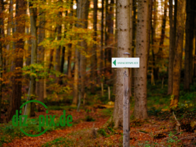 Naturfriedhof-MW-20241106-GFX10314