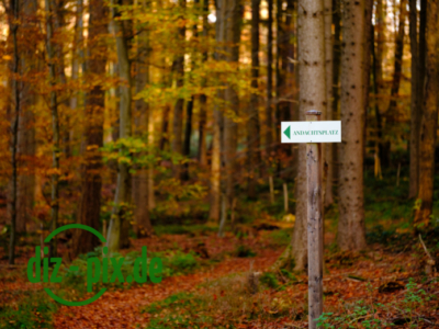 Naturfriedhof-MW-20241106-GFX10315