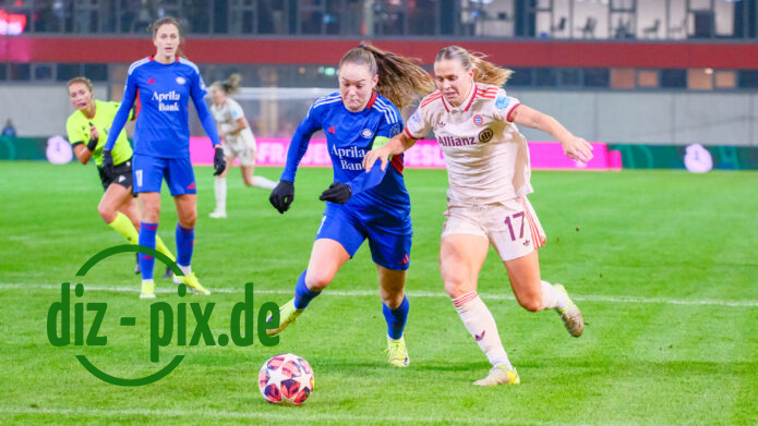 FCBFF-VIF-20241112-1XH20654