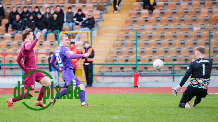 TSVS-FCA2-20241123-1XH20465