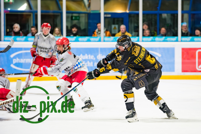 EHCK-TEVM-20250119-1XH20581