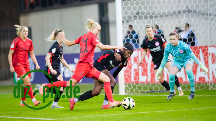 FCBFF-SGE-20250212-2XH20254