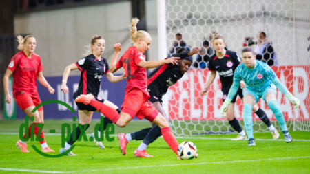 FCBFF-SGE-20250212-2XH20257