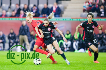 FCBFF-SGE-20250212-2XH20554