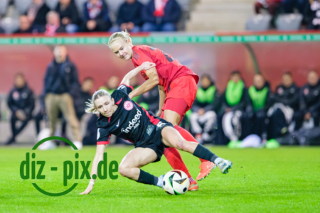 FCBFF-SGE-20250212-2XH20563