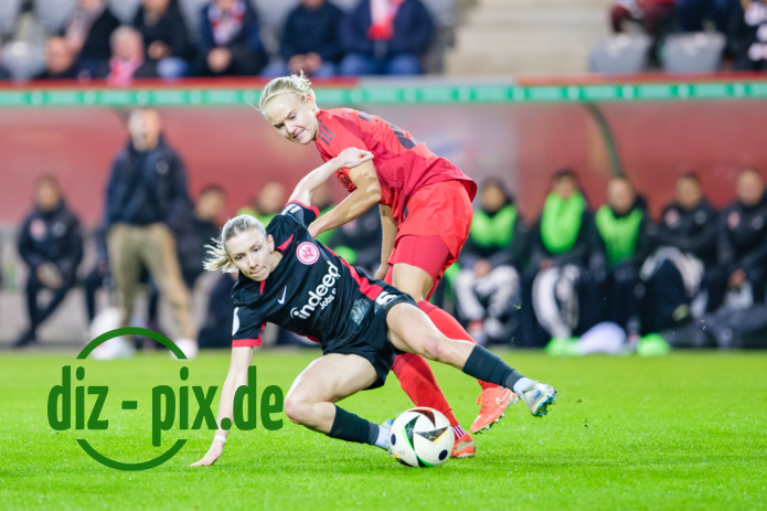 FCBFF-SGE-20250212-2XH20563