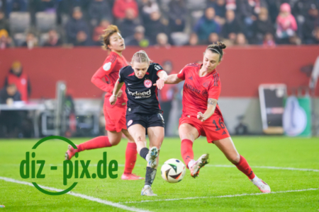 FCBFF-SGE-20250212-2XH21290