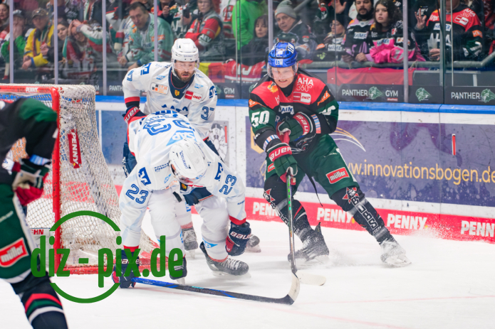 AEV-MAN-20250216-1XH20416