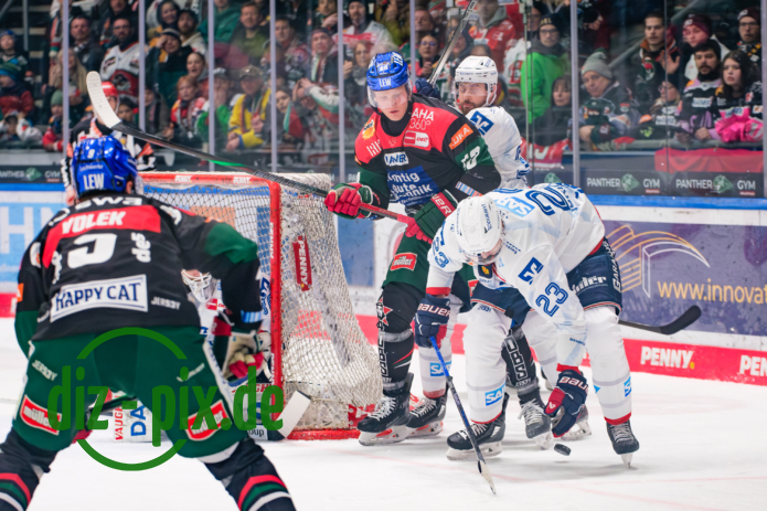 AEV-MAN-20250216-1XH20424