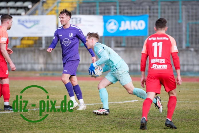 TSVS-SPVGGH-20250301-1XH20530