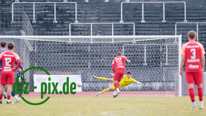 TSVS-SPVGGH-20250301-1XH20613