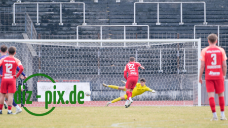 TSVS-SPVGGH-20250301-1XH20613