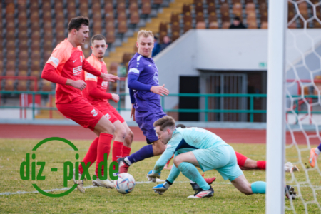 TSVS-SPVGGH-20250301-1XH20731