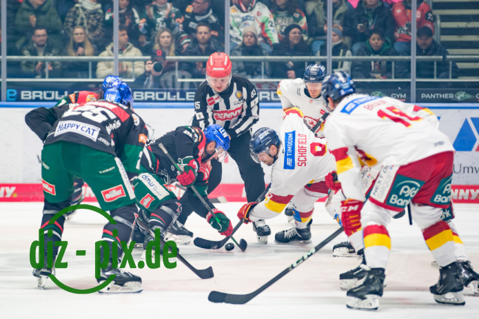 AEV-DEG-20250304-1XH20175