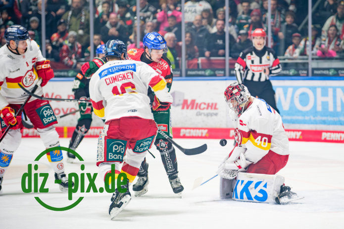 AEV-DEG-20250304-1XH20435