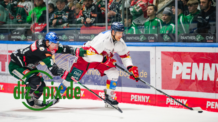 AEV-DEG-20250304-1XH21375