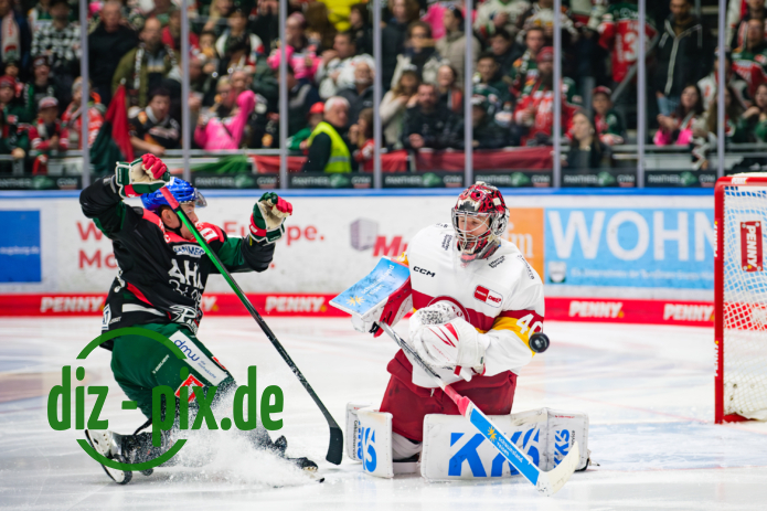 AEV-DEG-20250304-1XH21452