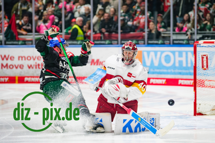 AEV-DEG-20250304-1XH21454