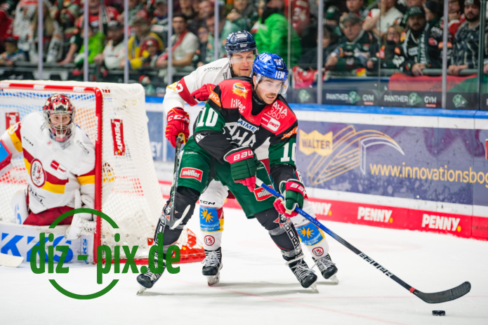 AEV-DEG-20250304-1XH21940