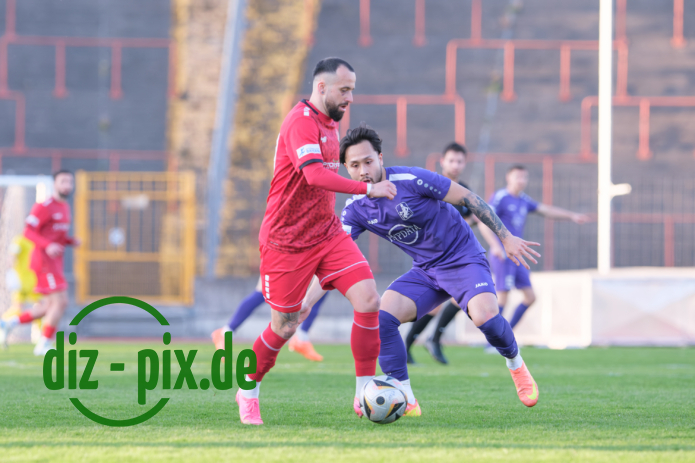 TSVS-TGM-20250411-2XH20137
