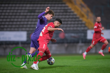 TSVS-TGM-20250411-2XH20410