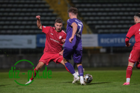 TSVS-TGM-20250411-2XH20592