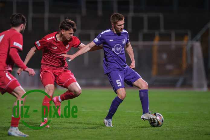 TSVS-TGM-20250411-2XH20651