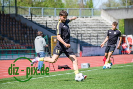 TSVS-SPVGGB-20250419-2XH20030