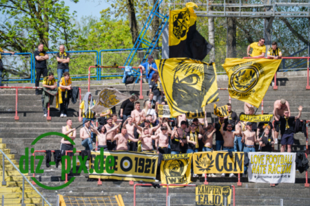 TSVS-SPVGGB-20250419-2XH20317
