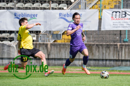 TSVS-SPVGGB-20250419-2XH20345