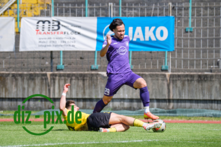 TSVS-SPVGGB-20250419-2XH20354
