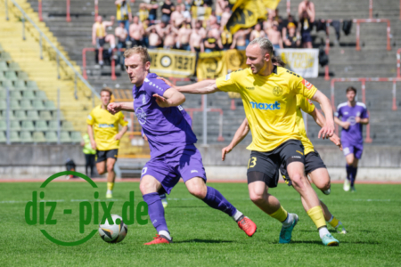 TSVS-SPVGGB-20250419-2XH20382