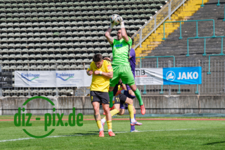 TSVS-SPVGGB-20250419-2XH20626