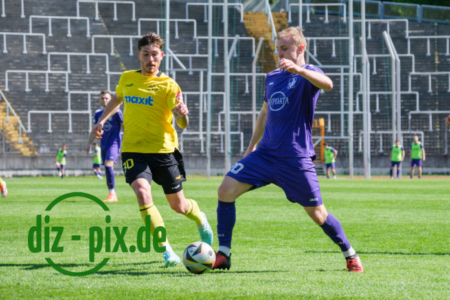 TSVS-SPVGGB-20250419-2XH20919