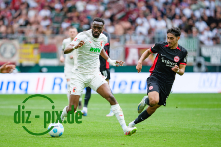 FCA-SGE-20250420-2XH21542
