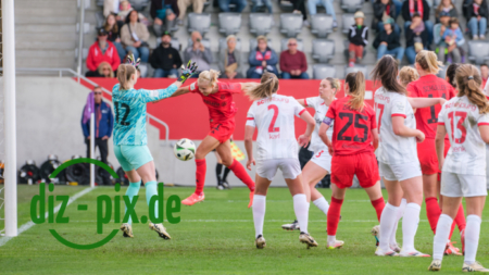 FCBFF-SCF-20250427-1XH21178