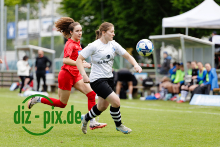 FFCW-SCS2-20250518-1R520196