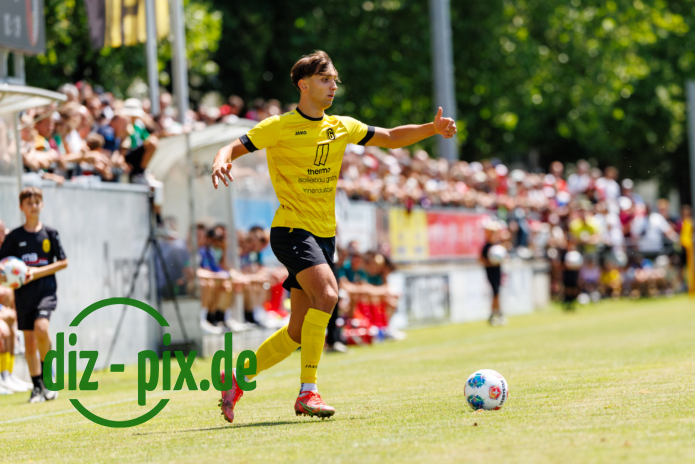 TSVGH-FCA-20250712-1R520071