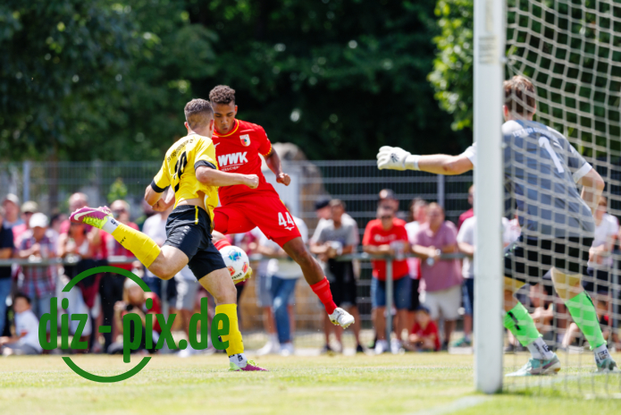 TSVGH-FCA-20250712-1R520690