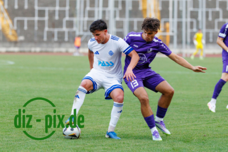 TSVS-SVVA-20250815-1R521793